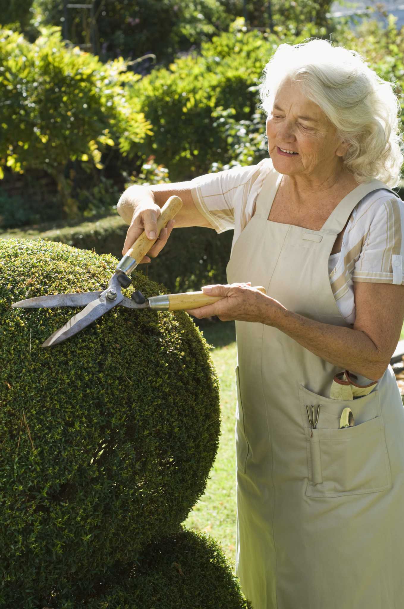 How to Trim Shrubs With a Hedge Trimmer