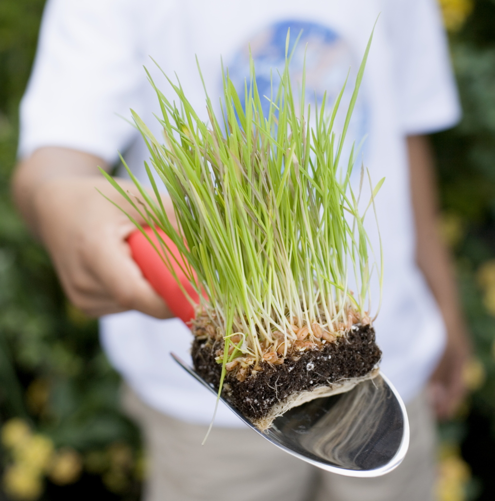 Wet Soil Vs Moist Soil