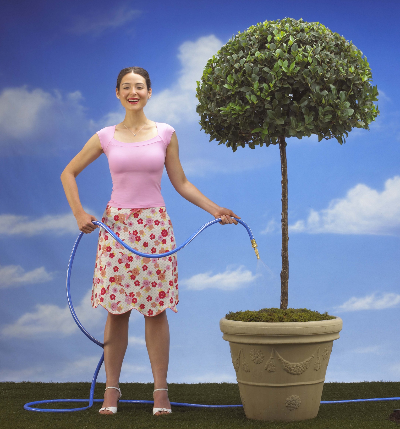 How to Trim Topiaries