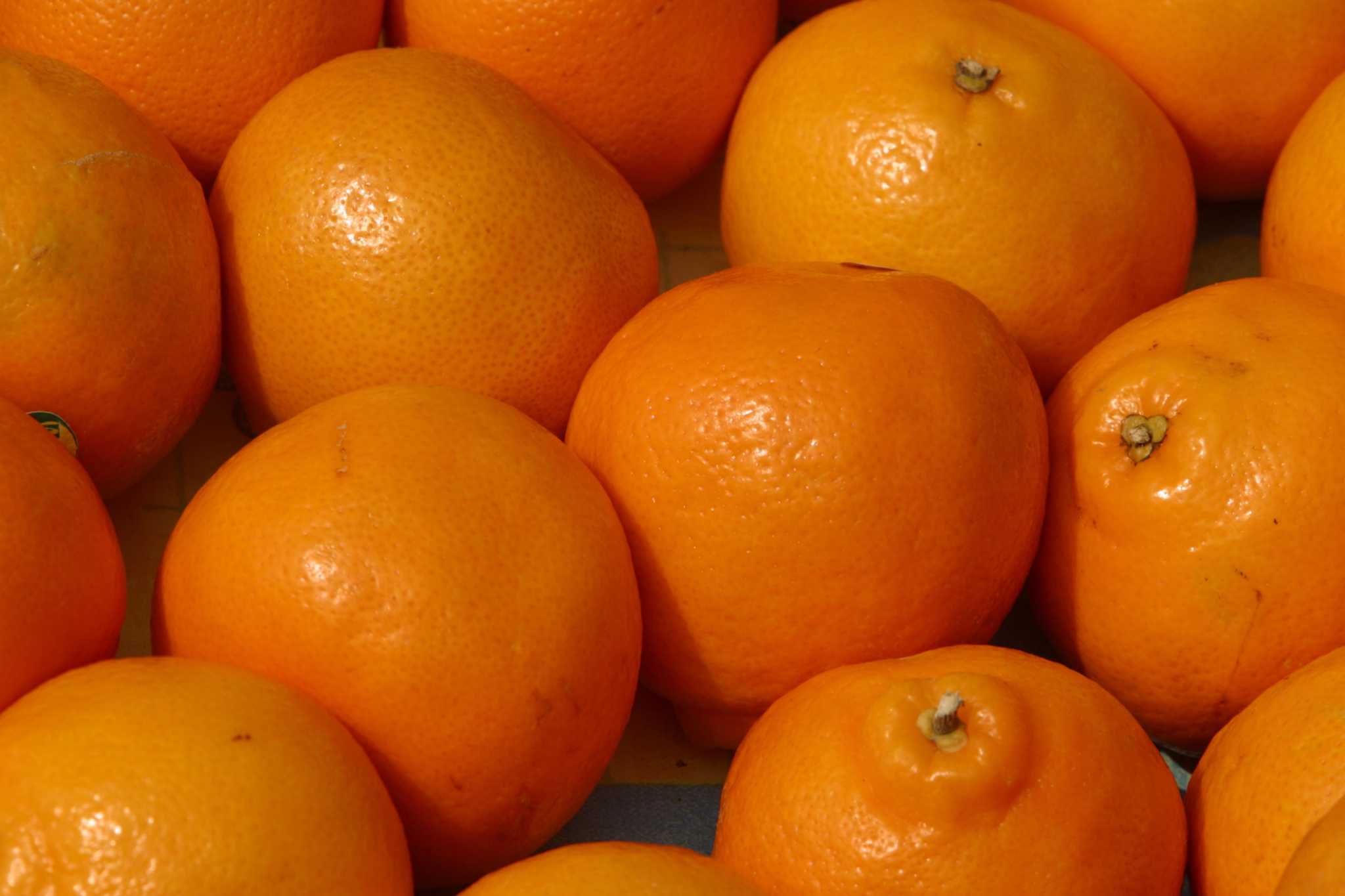 Tangerines vs. Clementines