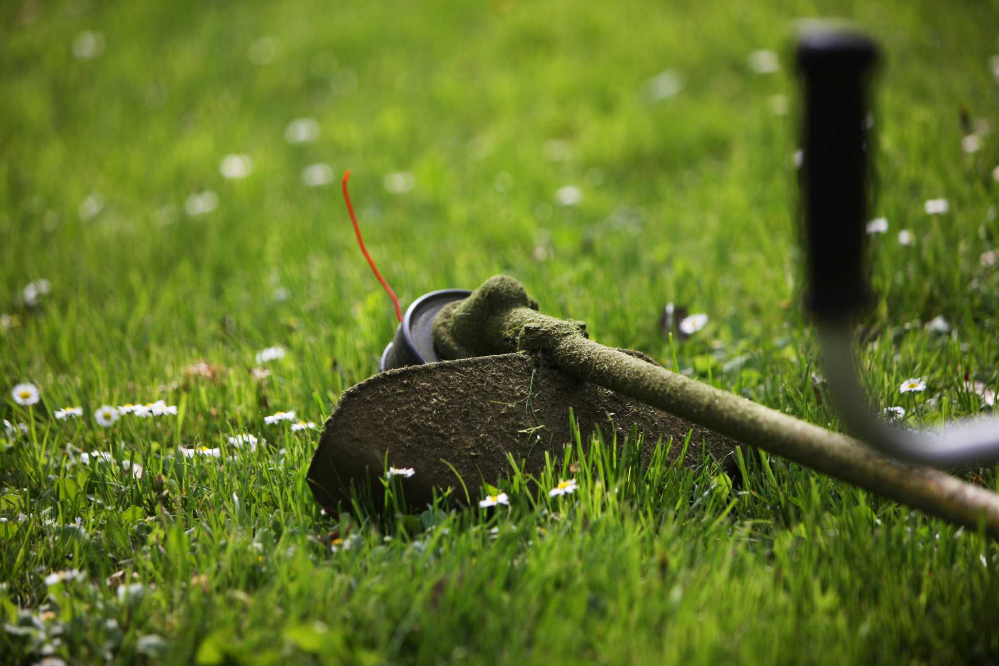 How to Troubleshoot a Ryobi 31cc String Trimmer
