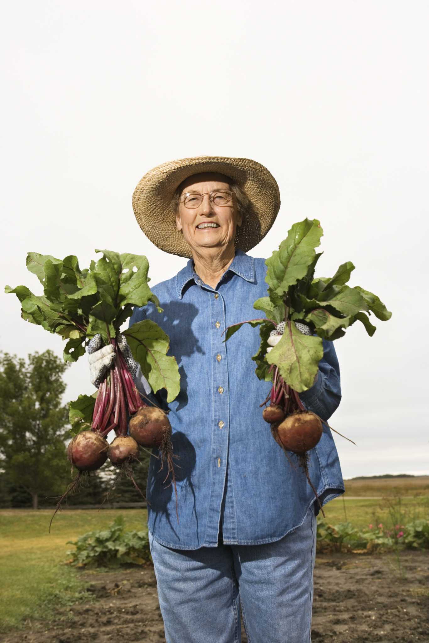 How to Get Turnips to Go to Seed