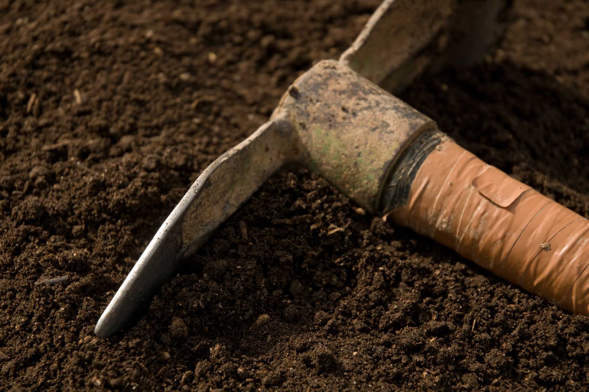 How to Plant Seeds in Mounds