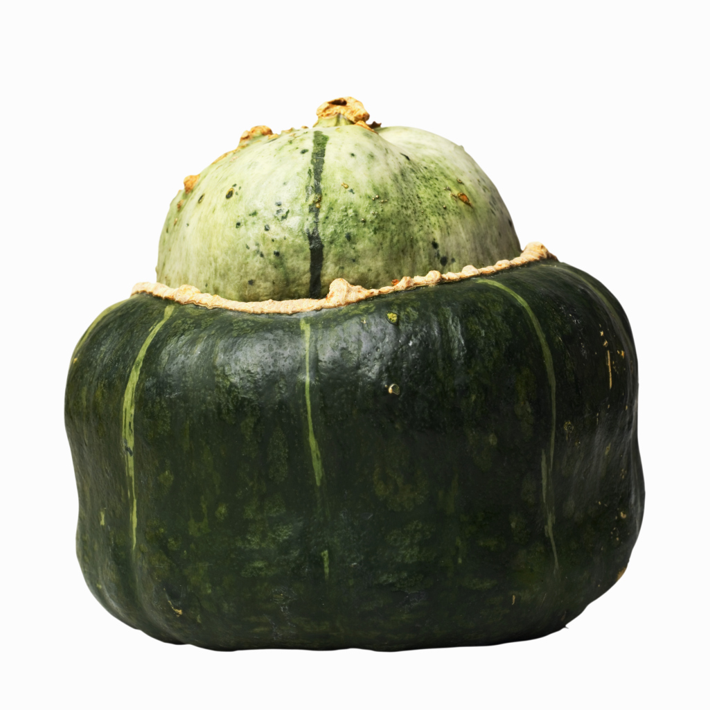 When to Plant Buttercup Squash Seeds?