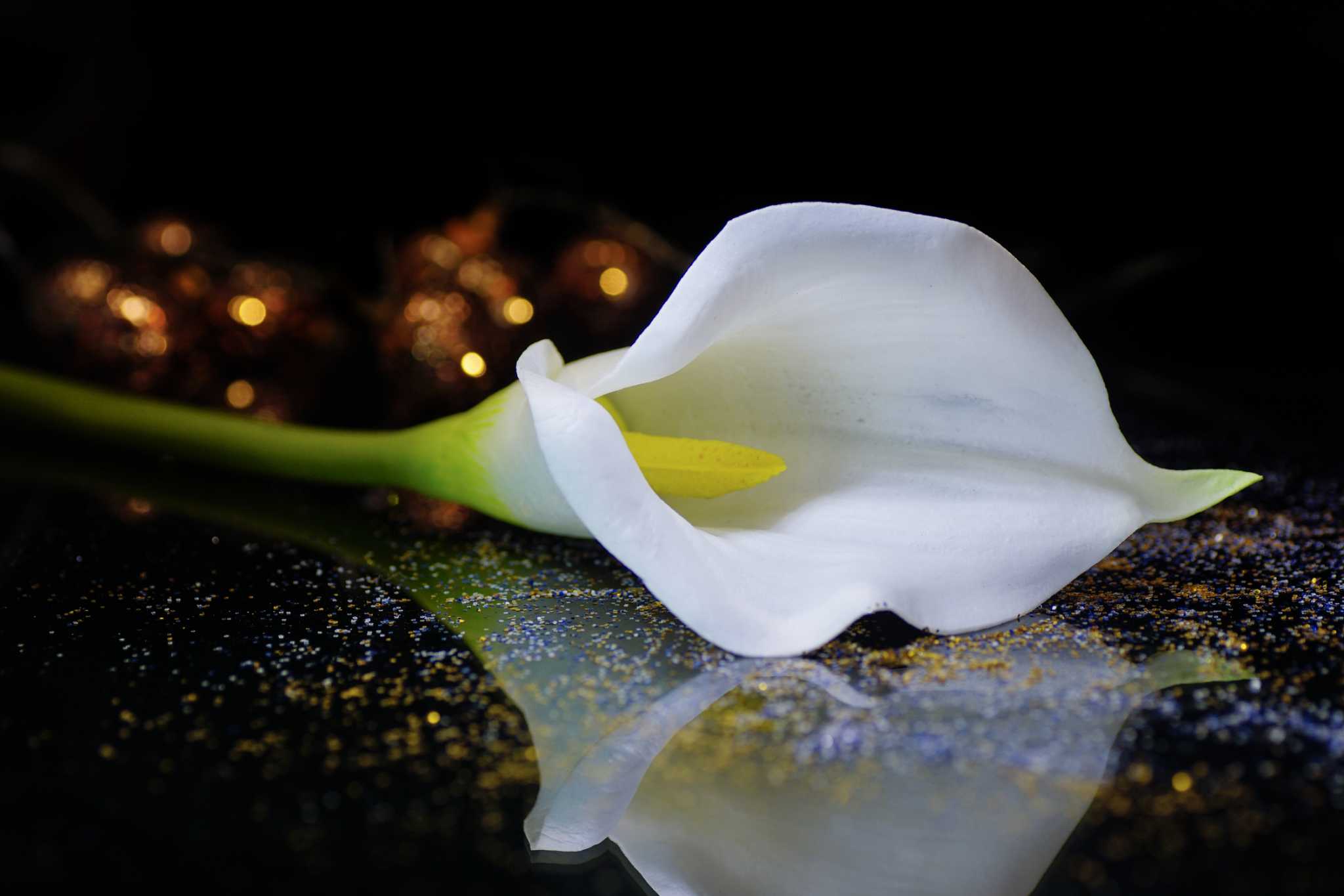 How to Plant Calla Lilies in Containers