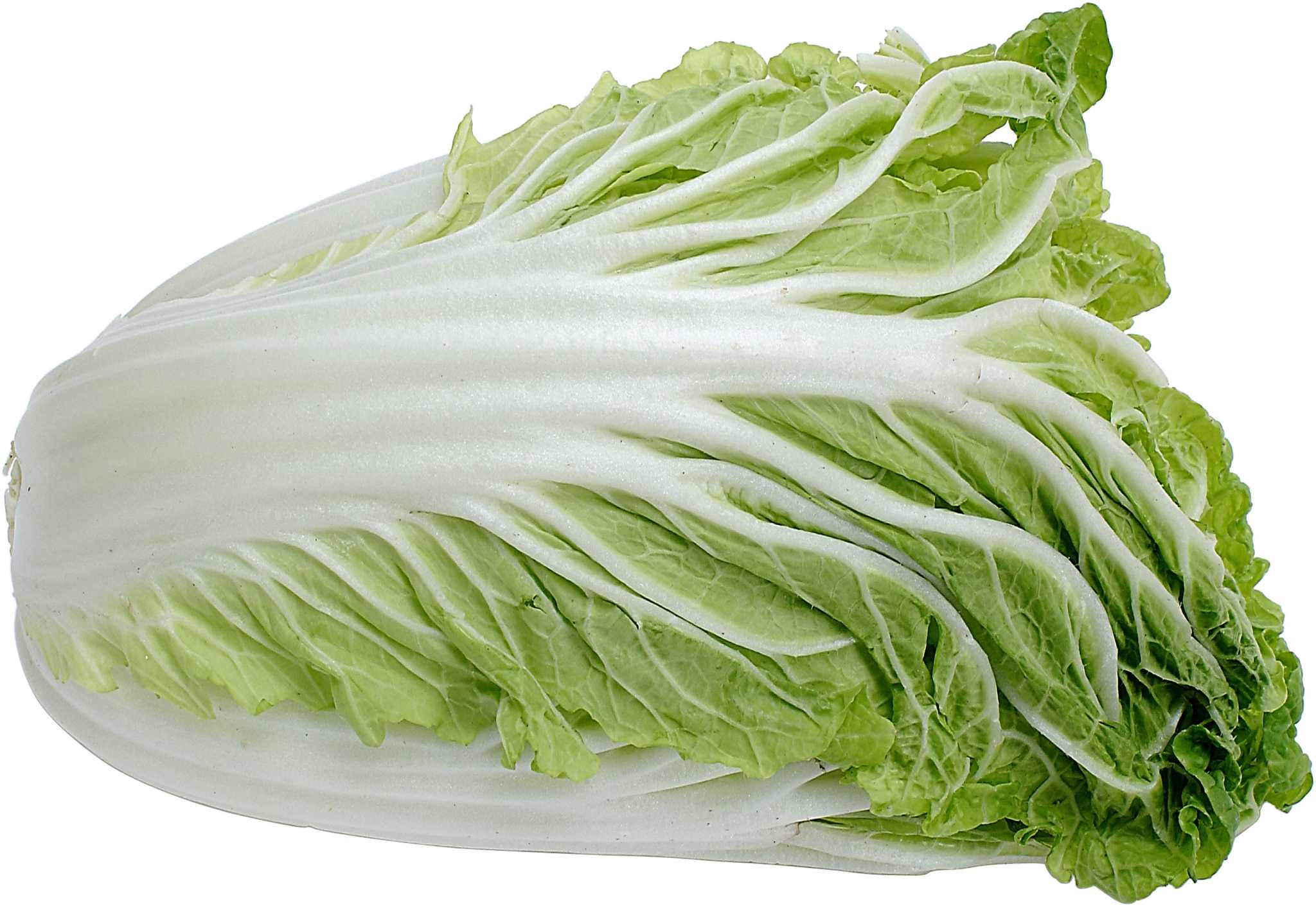 How to Plant Chinese Cabbage Seeds in Soil