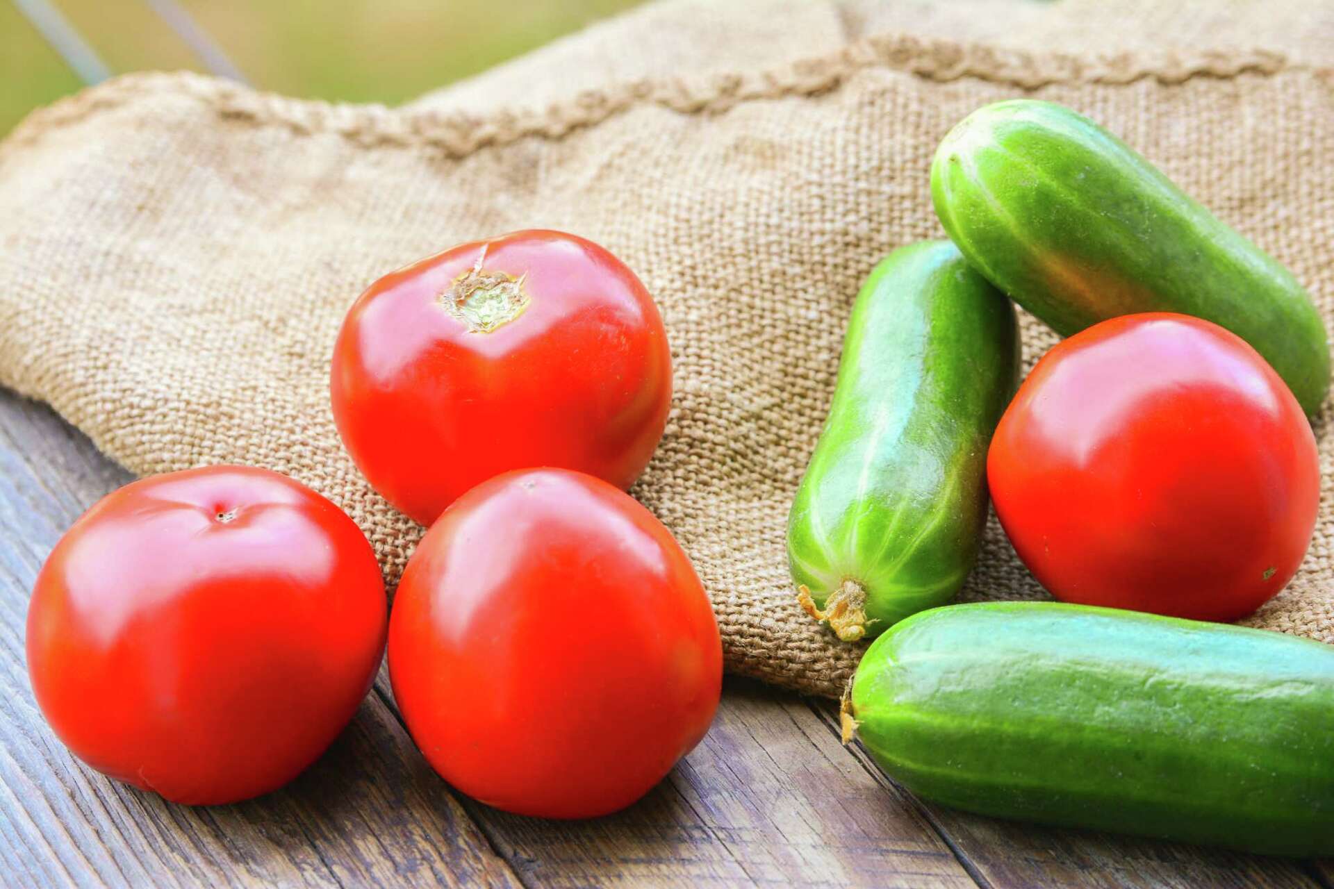 How to Plant Cucumbers With Tomatoes