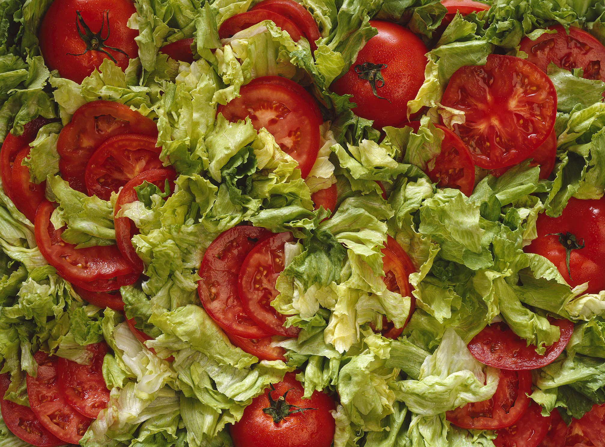 How to Plant Tomatoes With Lettuce