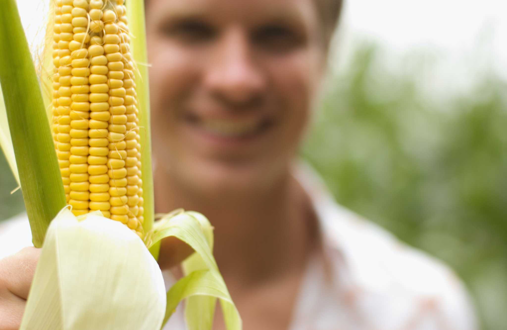 how-to-use-preen-on-sweet-corn