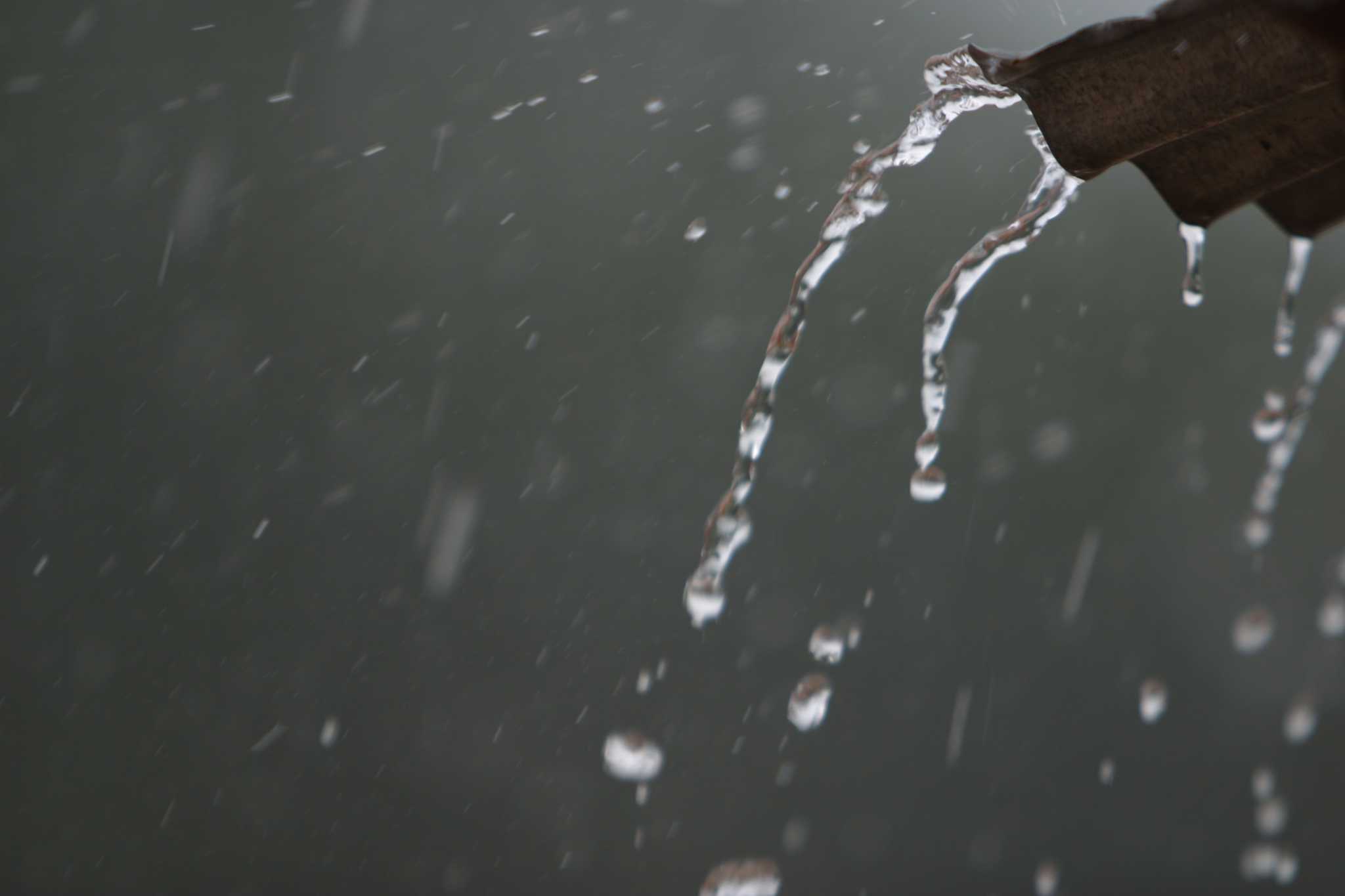 How to Use a Rain Barrel Without Gutters