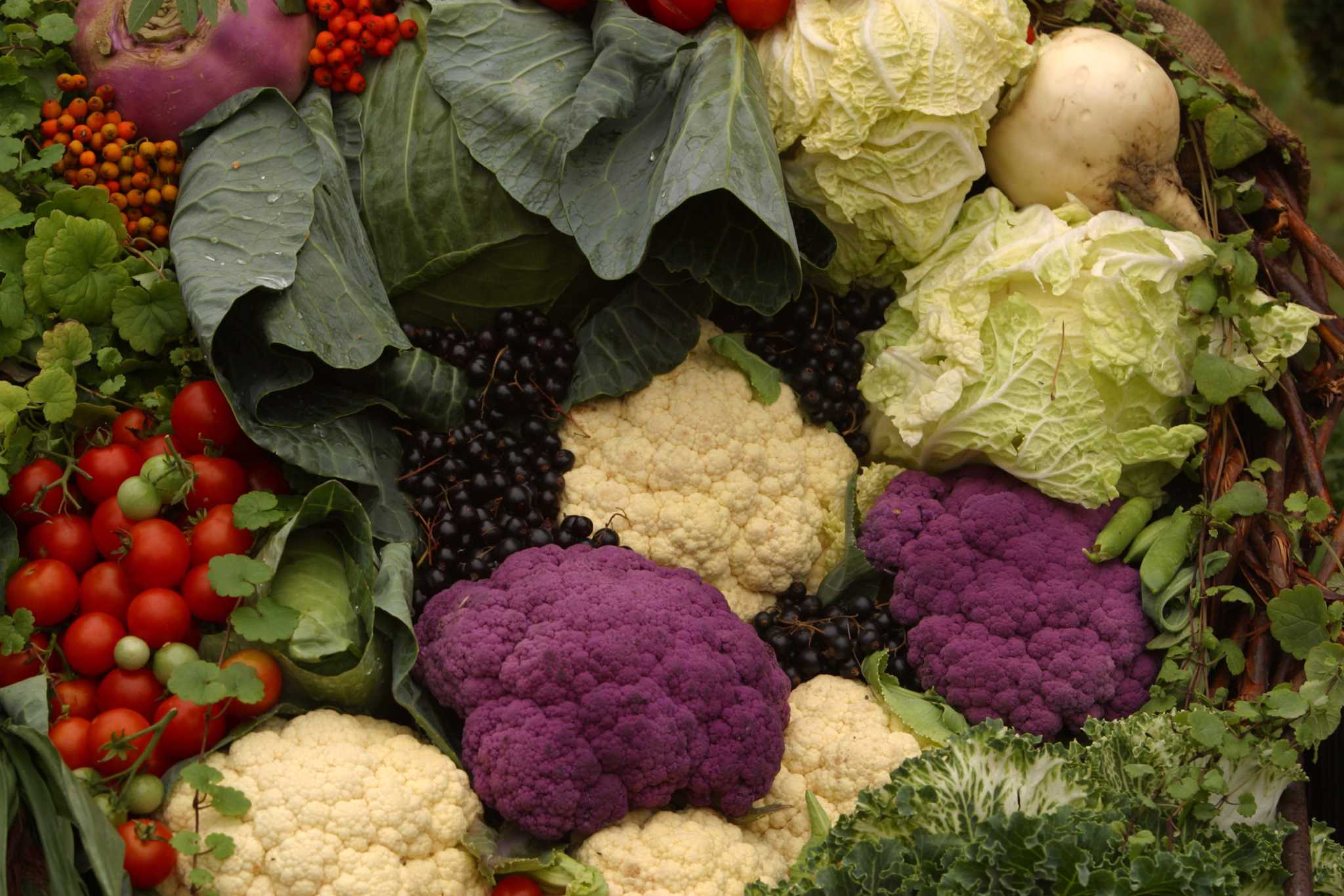 Varieties of Cauliflower