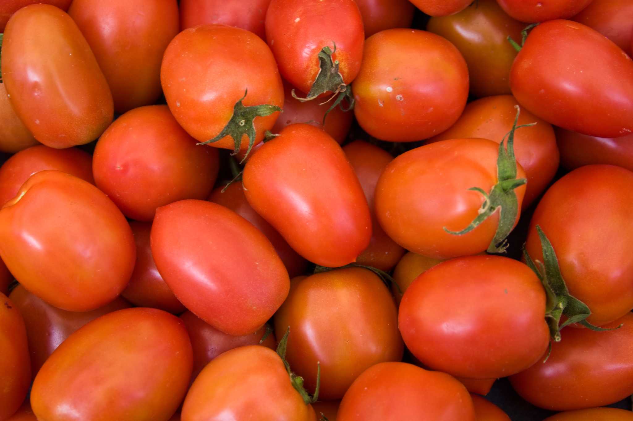 Varieties Of Thick Skinned Tomatoes