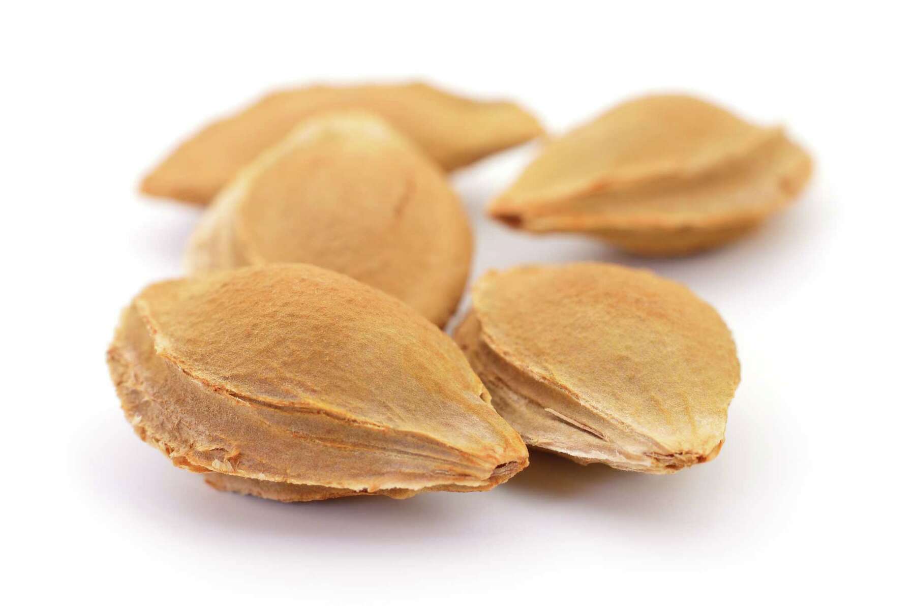 Peach Seeds