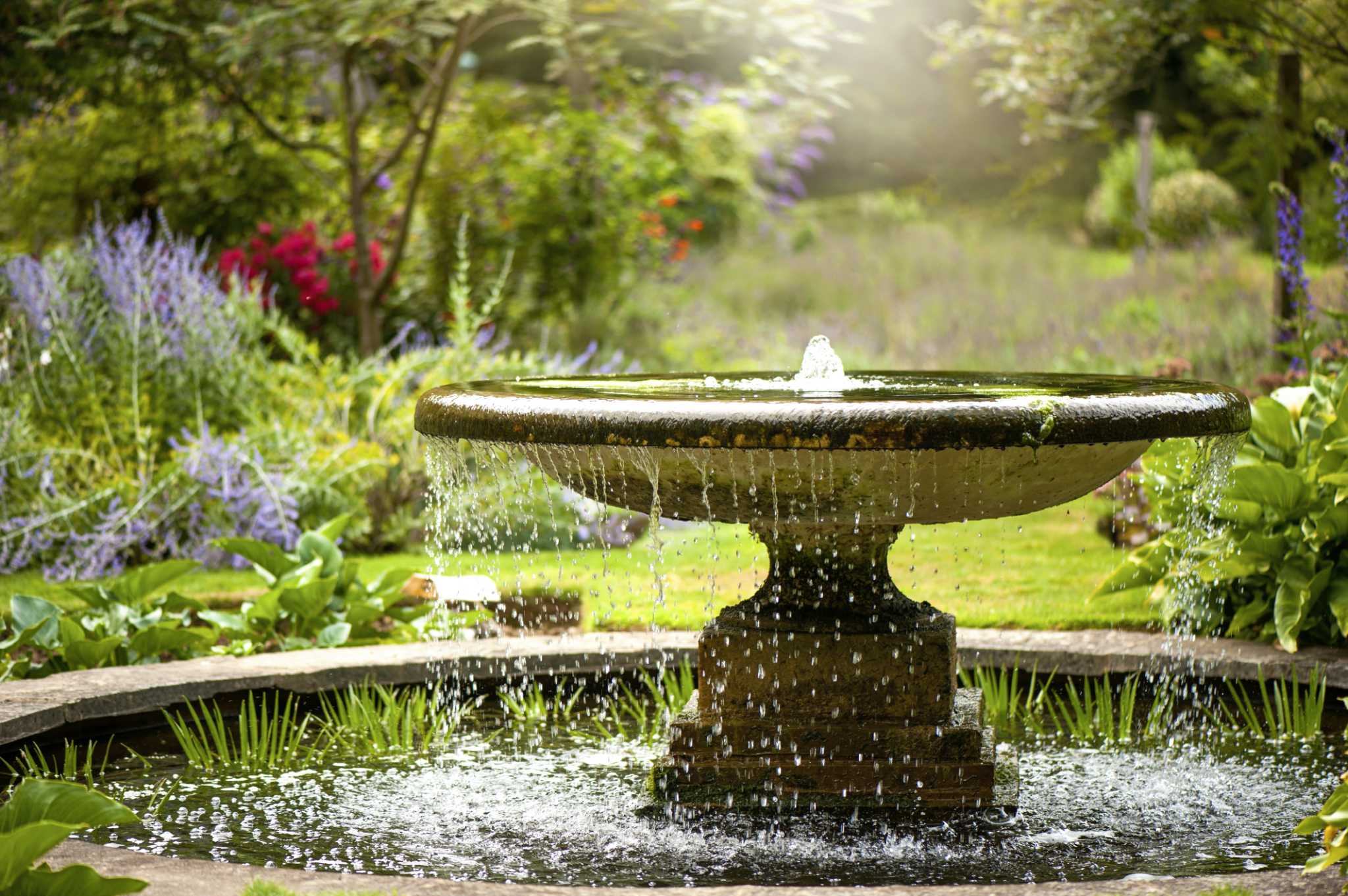 How to Prevent Algae in Garden Fountains
