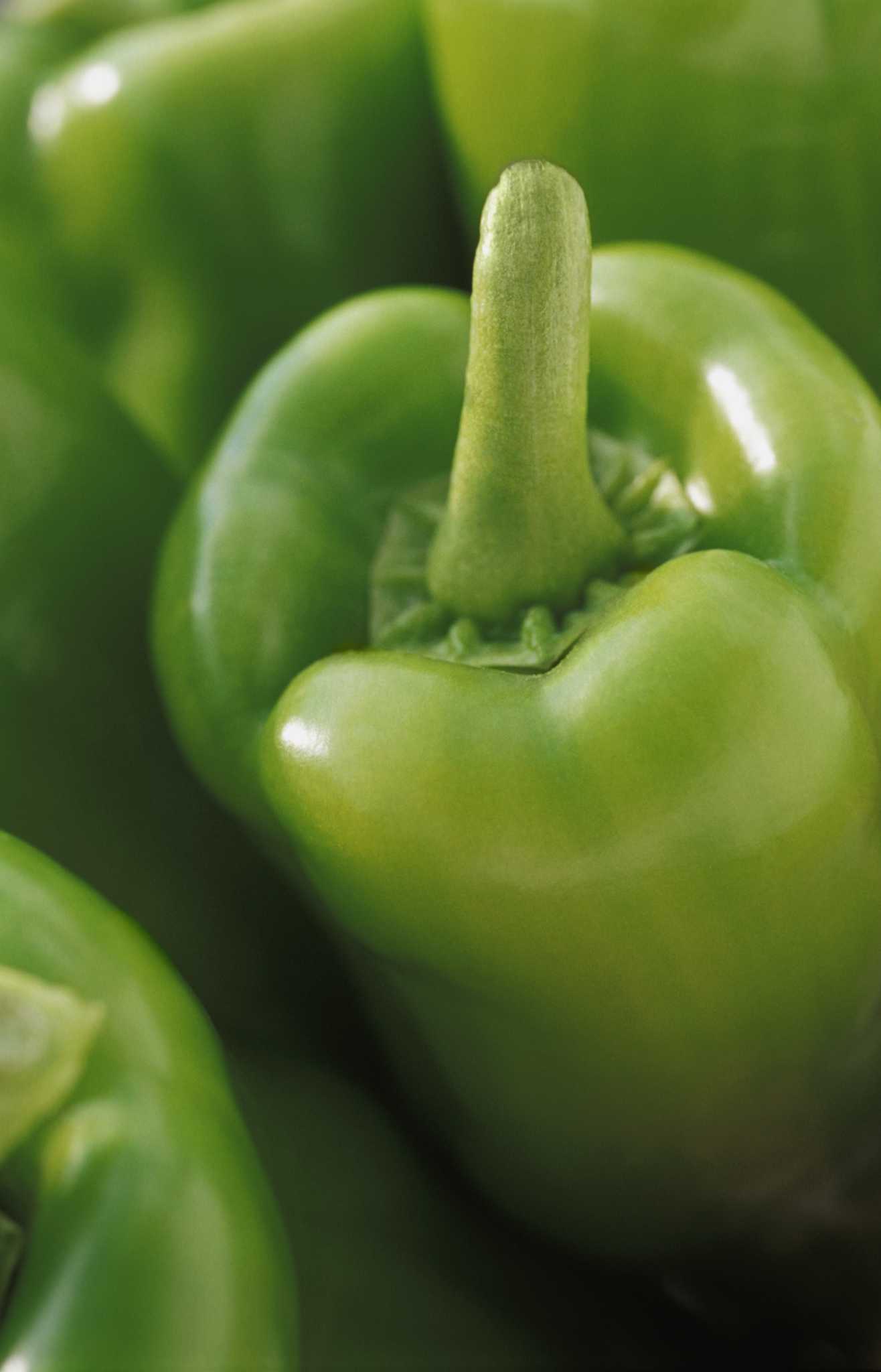 How to Prevent Bugs From Killing My Bell Pepper Plants