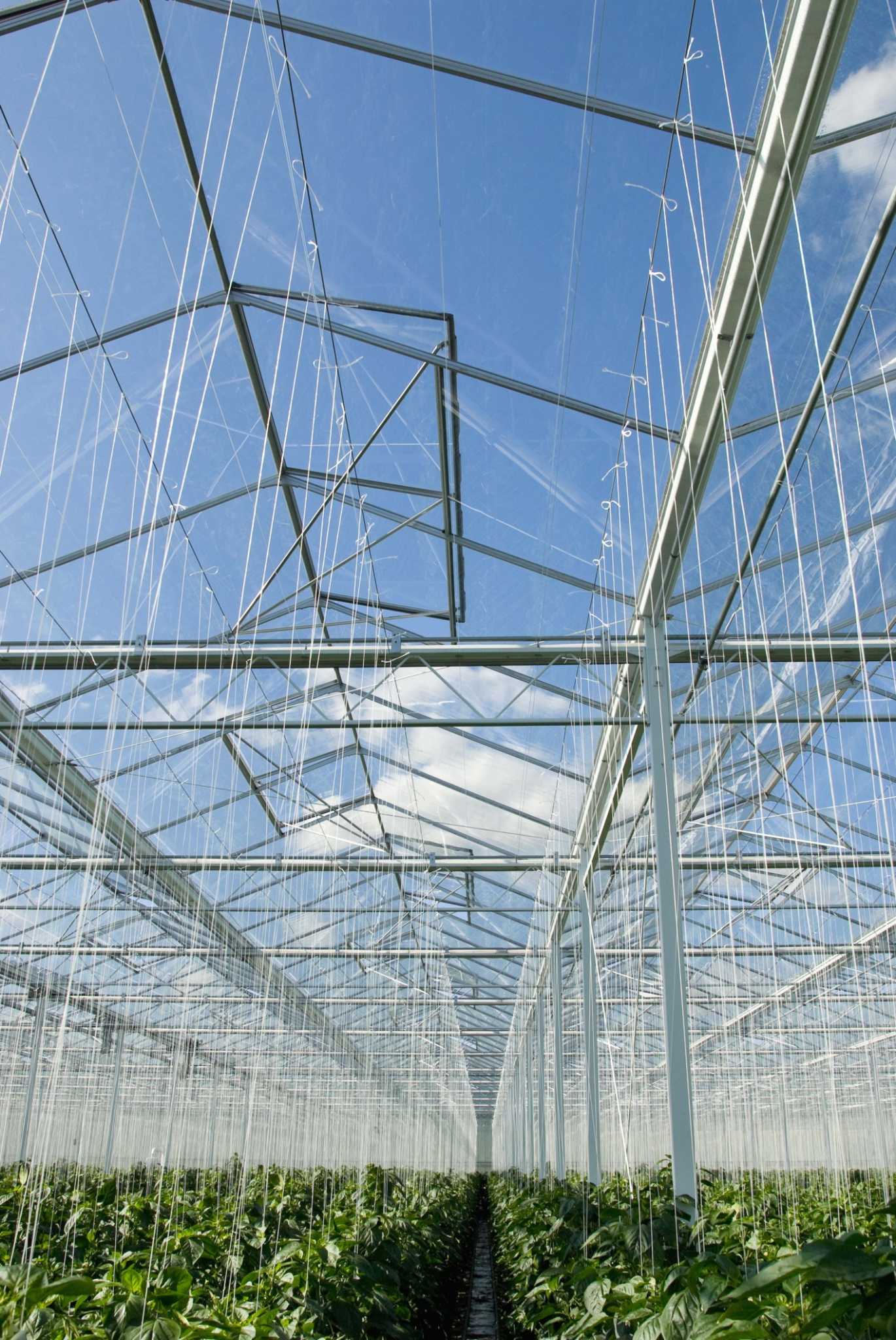 4 Ways to Attach Greenhouse Plastic to a Metal Frame - Do it Right