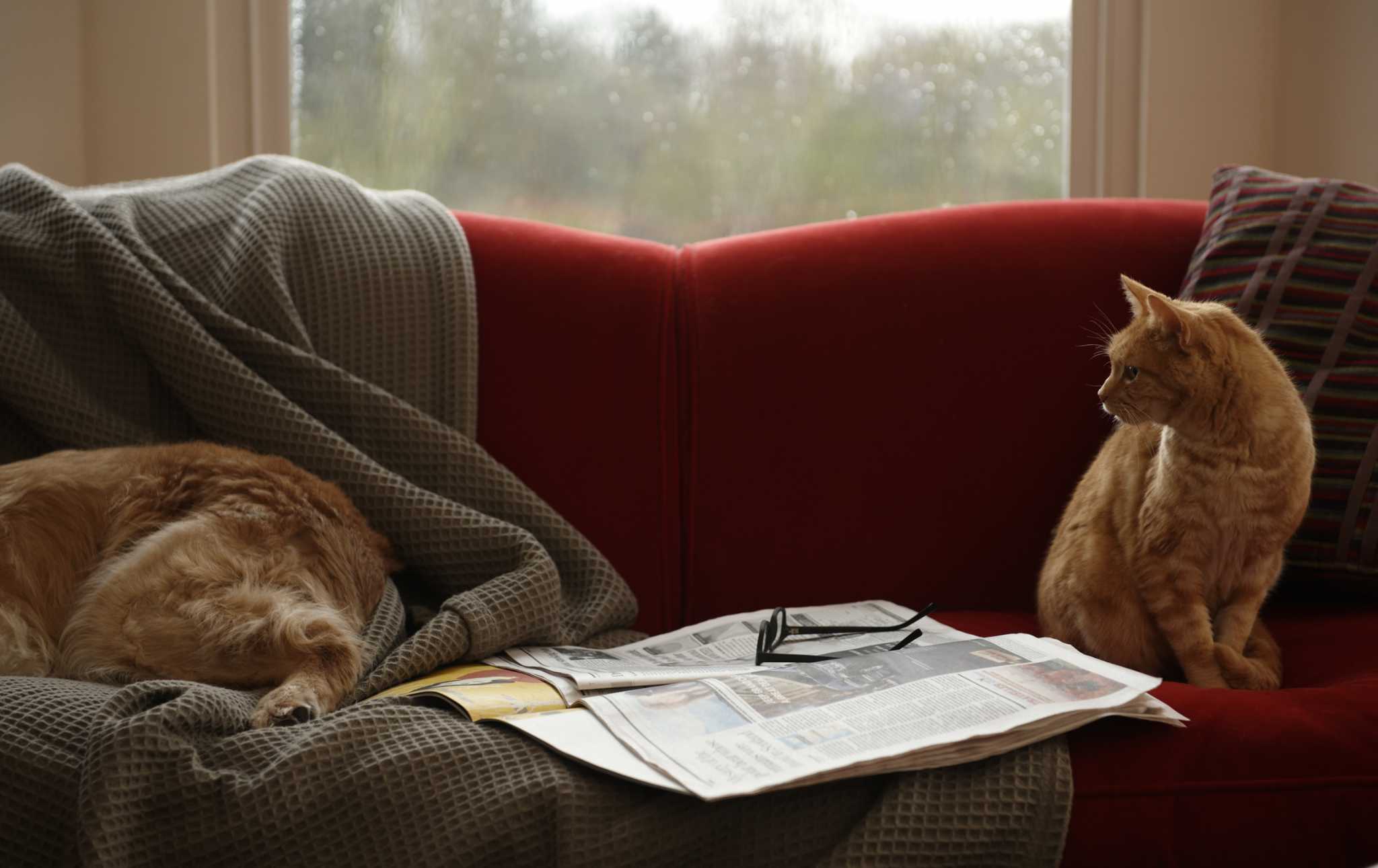 The Best Way to Clean Microsuede Furniture