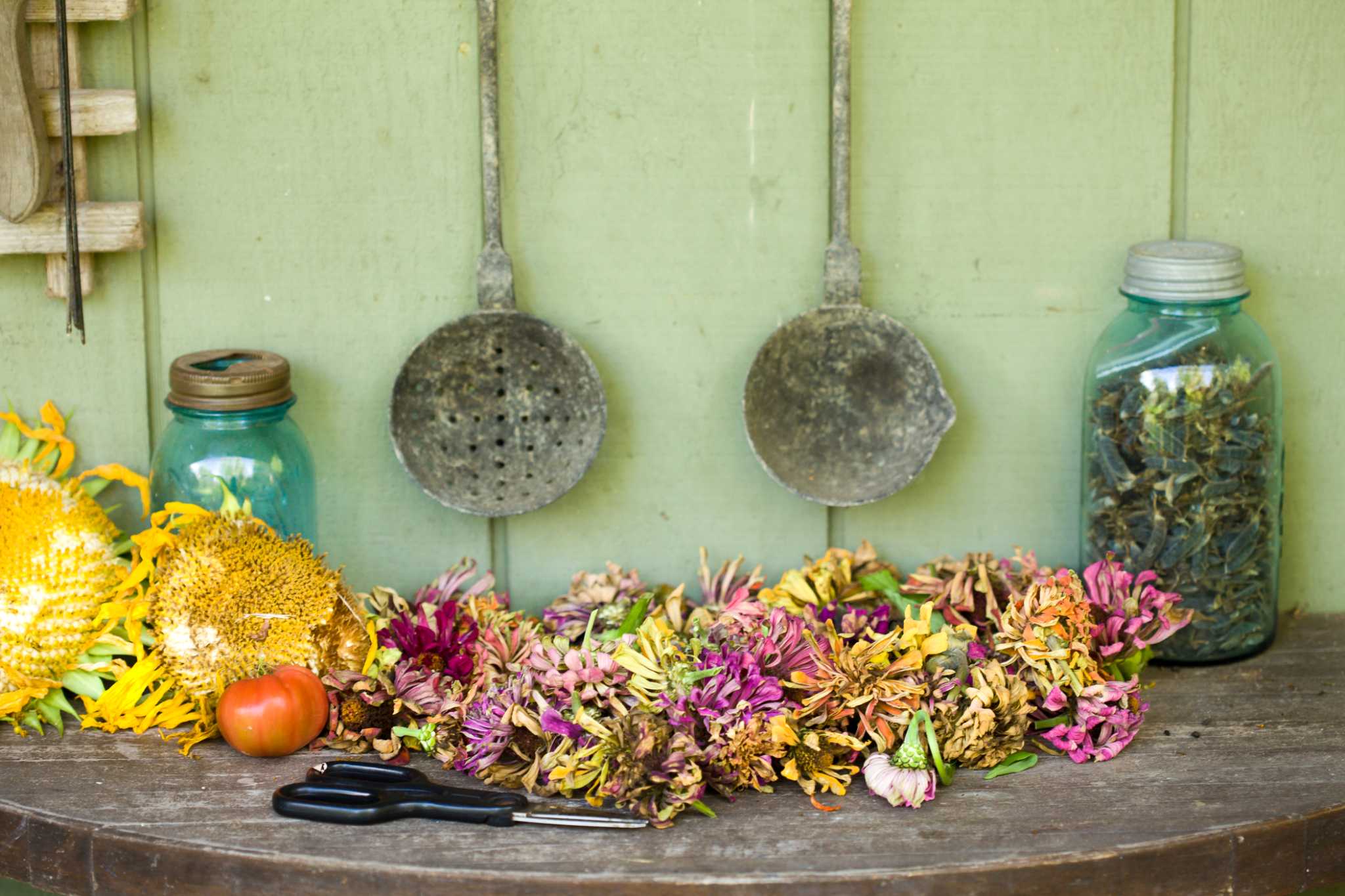 What Is the Best Way to Preserve Flowers & Why?