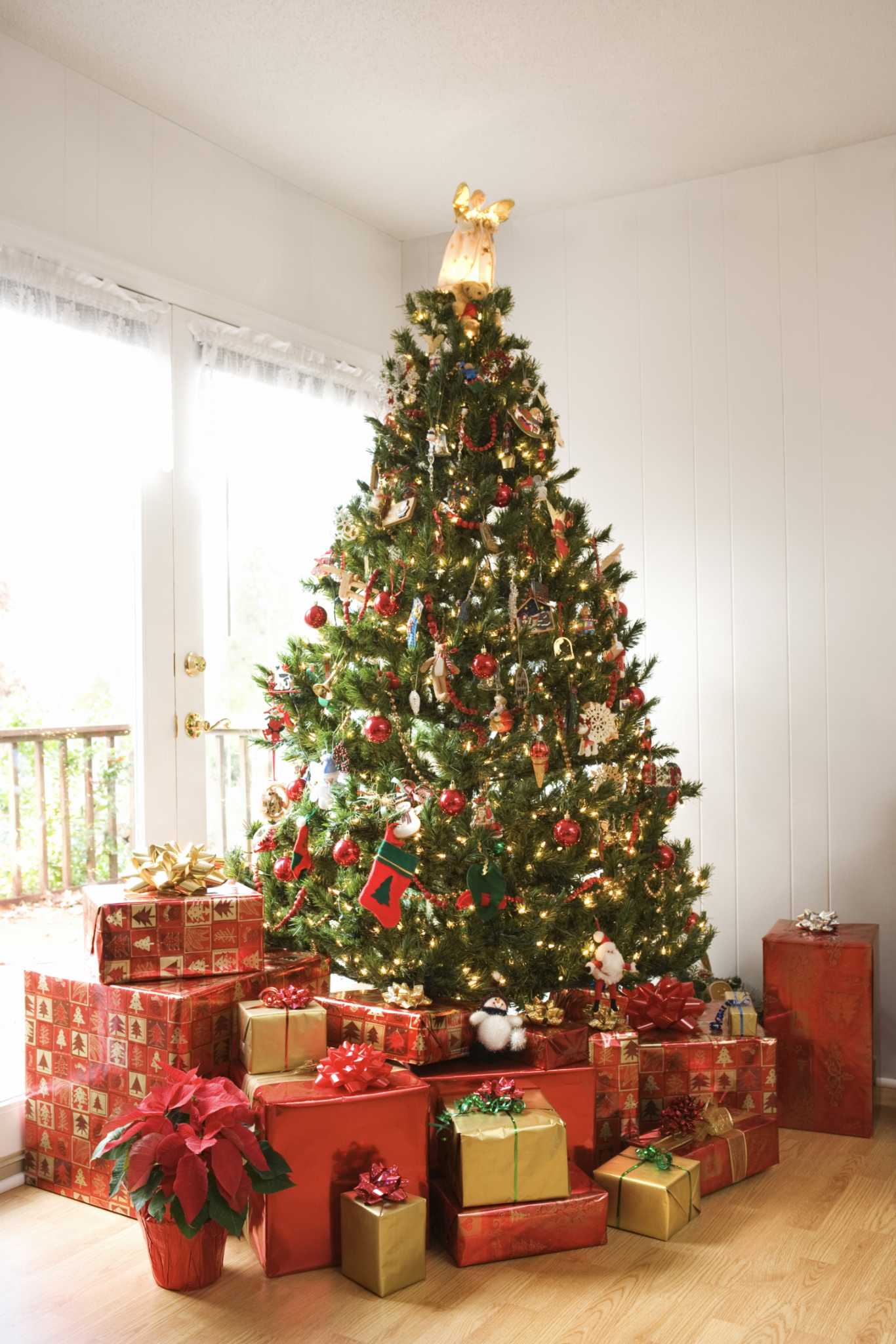 the-best-way-to-put-on-christmas-tree-lights