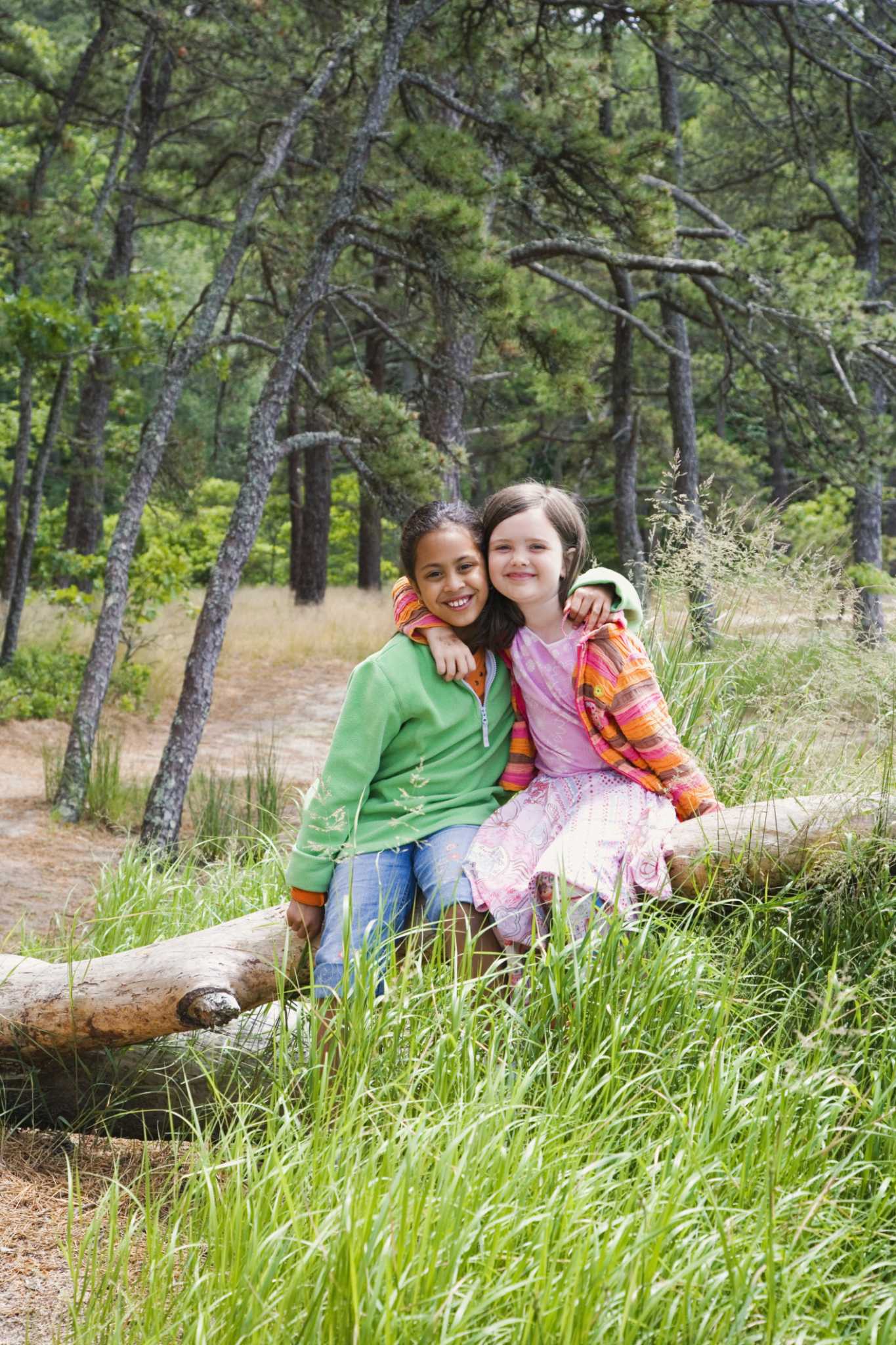 The Best Way to Get Rid of a Fallen Tree