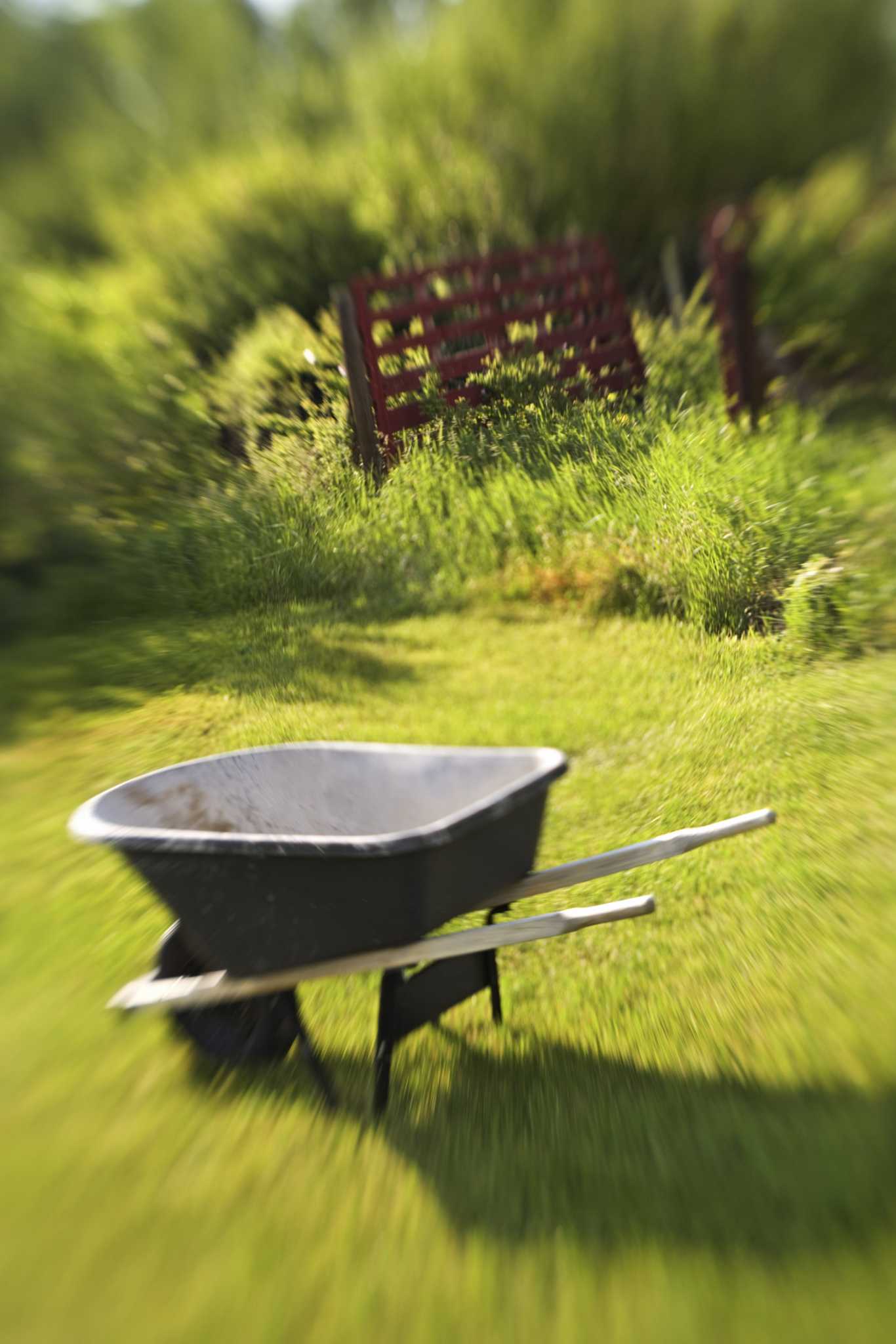 Wheelbarrow vs. Lawn Cart