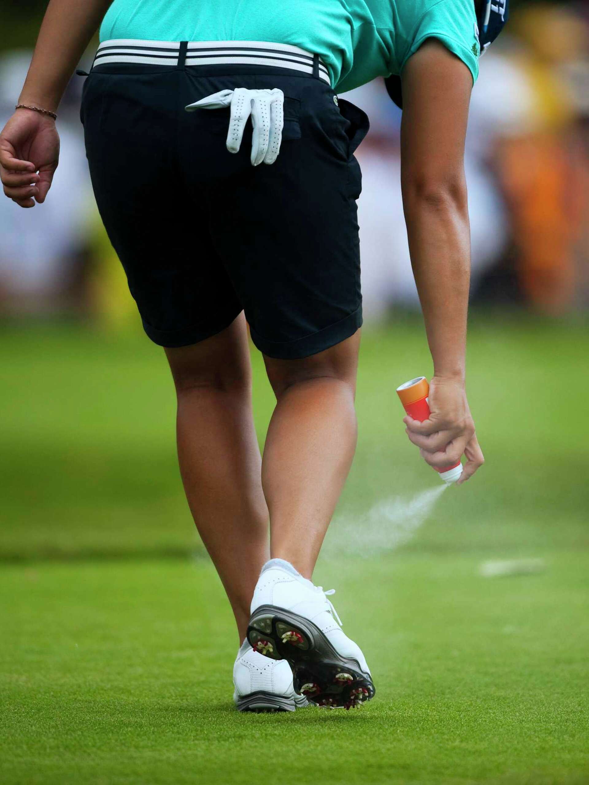 Why Does Windex Kill Bugs: Surprising Science Behind It