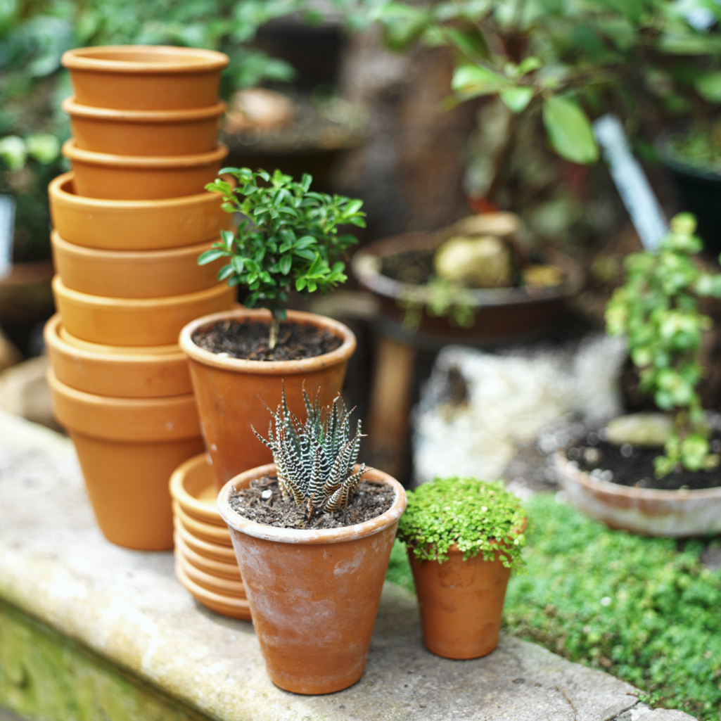 Read This Before You Wash Another Plant Pot – Garden Betty