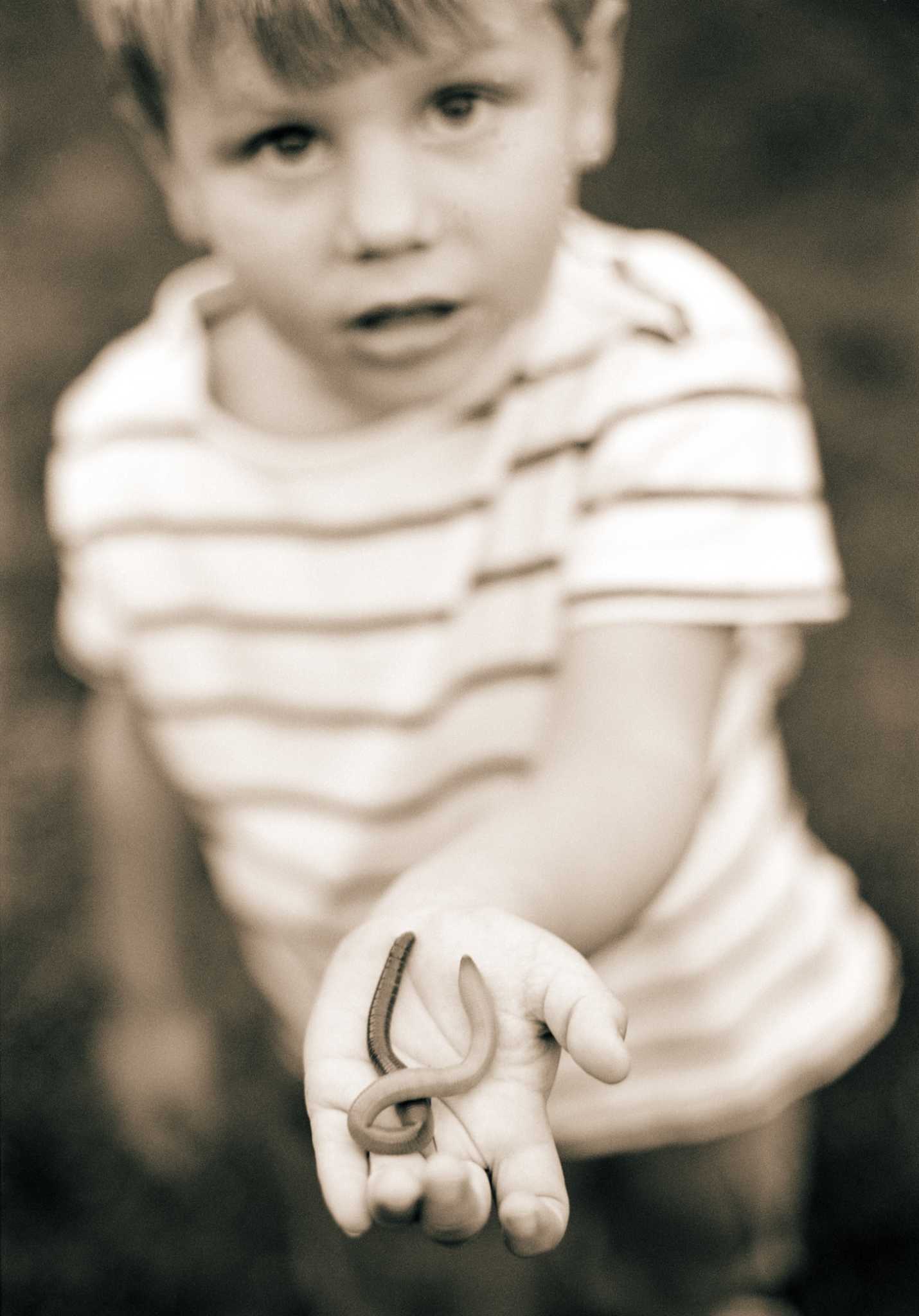 Do Worms Eat Mushrooms?