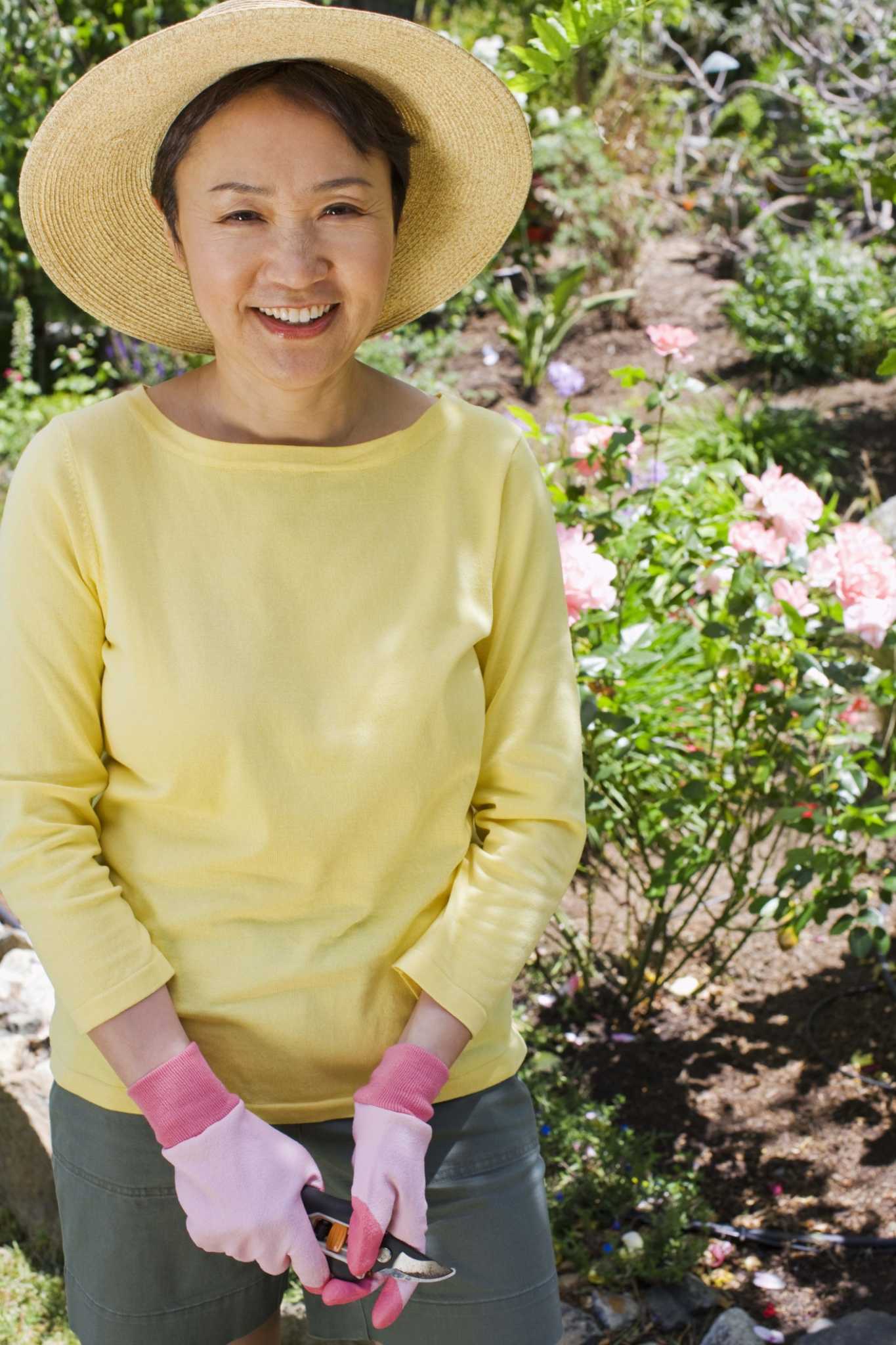 How to Prune Rosa Ballerina