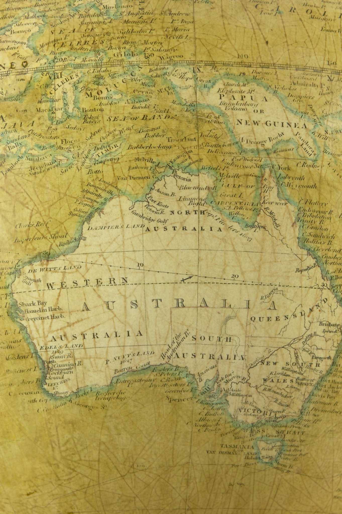 How to Prune a Willow Acacia