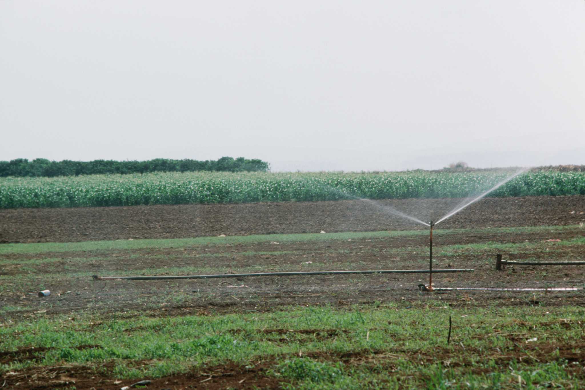 pulsating-sprinkler-instructions