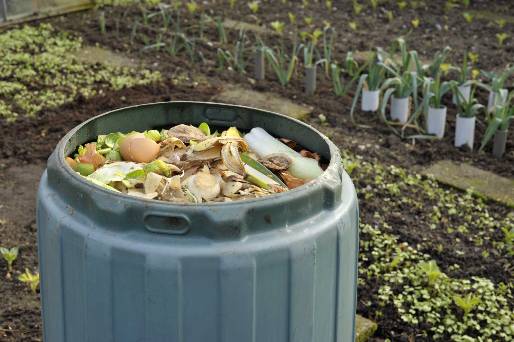 How to Put Moldy Food in Compost