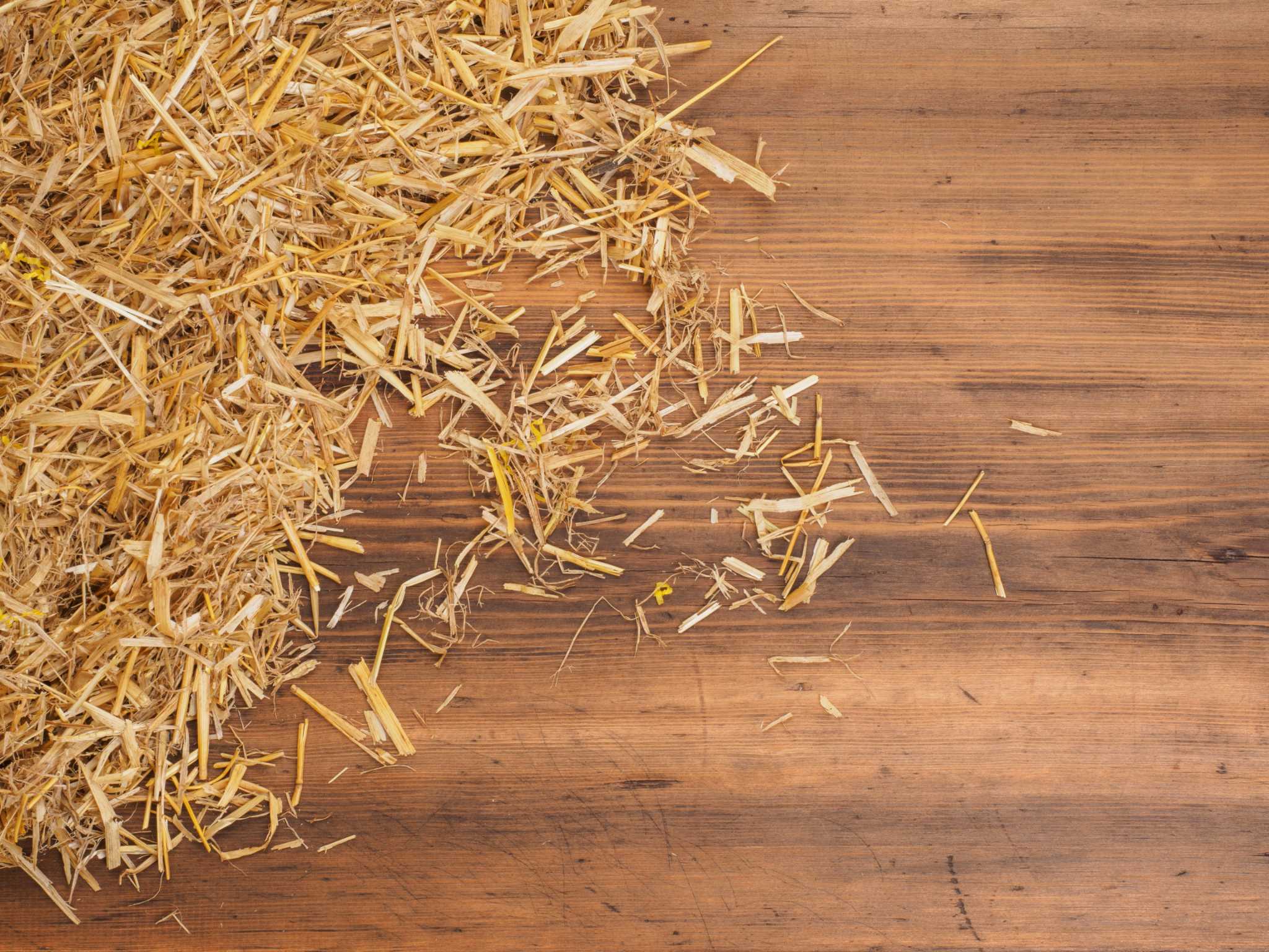 Why Put Straw on Grass Seed