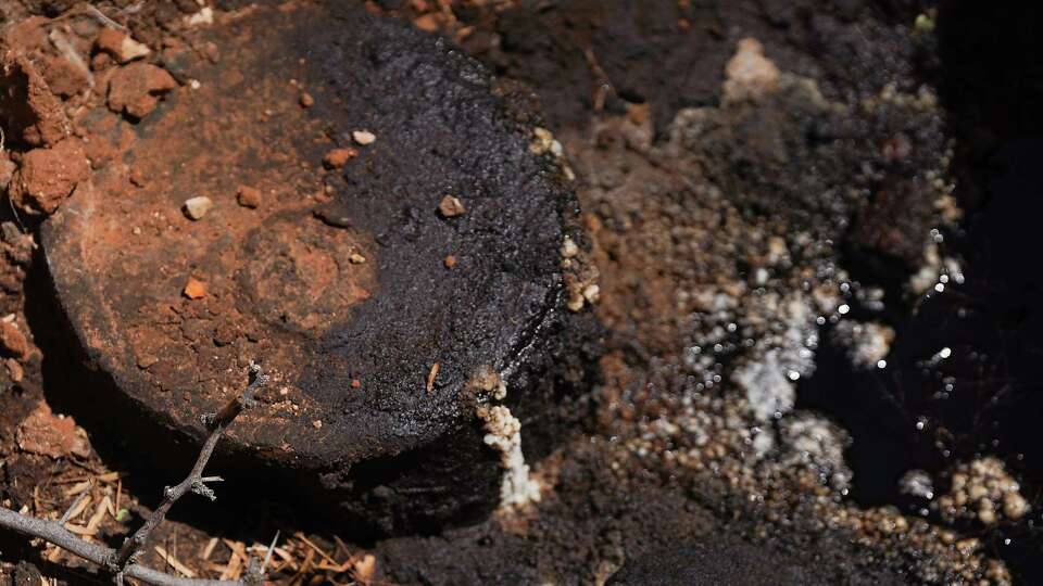 A plugged well leaks salt water and oil on Antina Ranch on Tuesday, April 25, 2023 near Monahans.