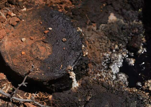 A plugged well leaks salt water and oil on Antina Ranch on Tuesday, April 25, 2023 near Monahans.