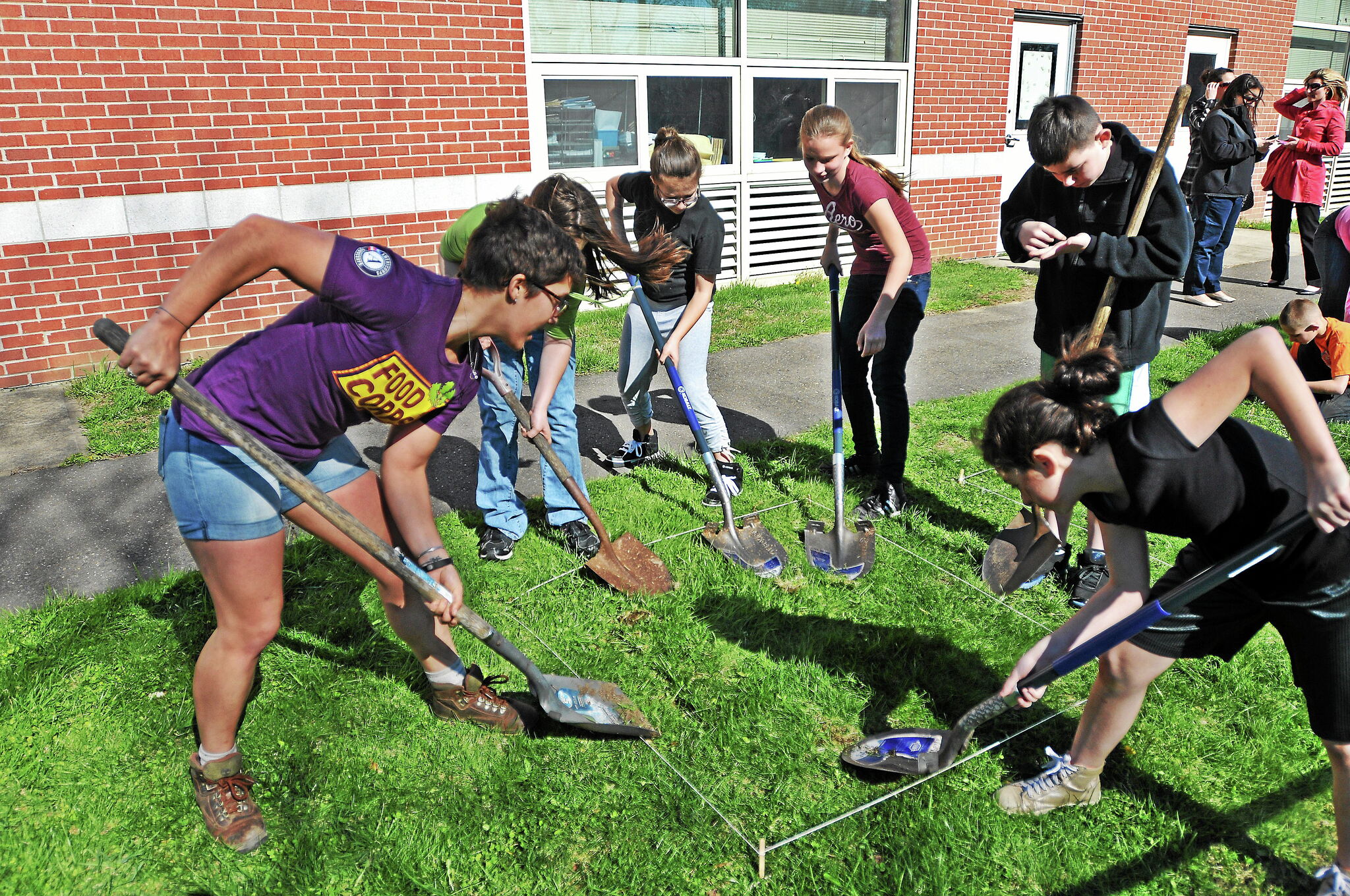 CT farmers, schools, and children are peas in a pod. We can help them - Vimarsana News