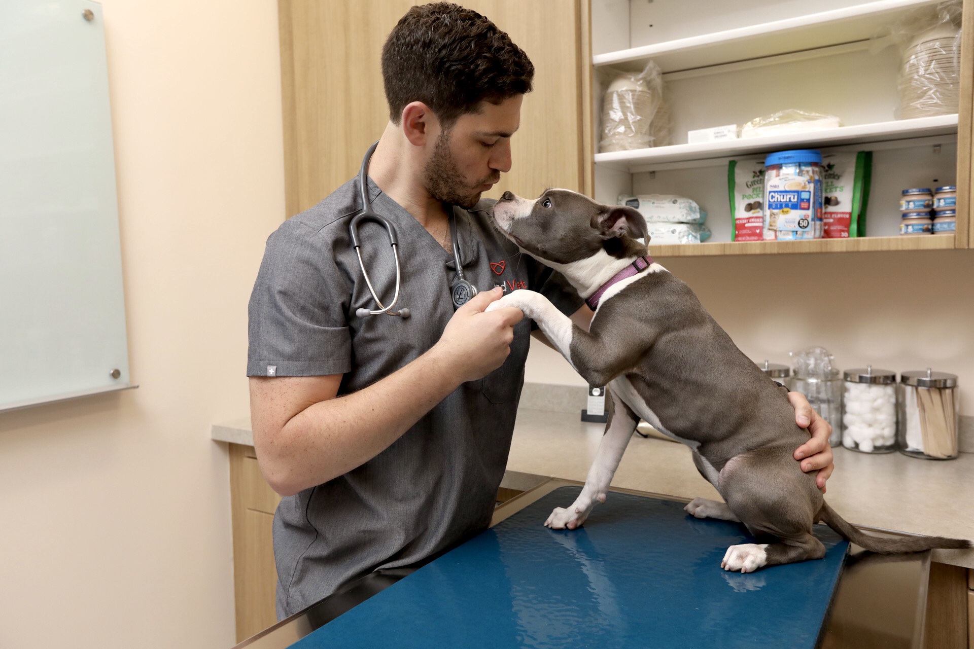 Veterinary hospital coming to Black Rock Turnpike in Fairfield - Vimarsana News