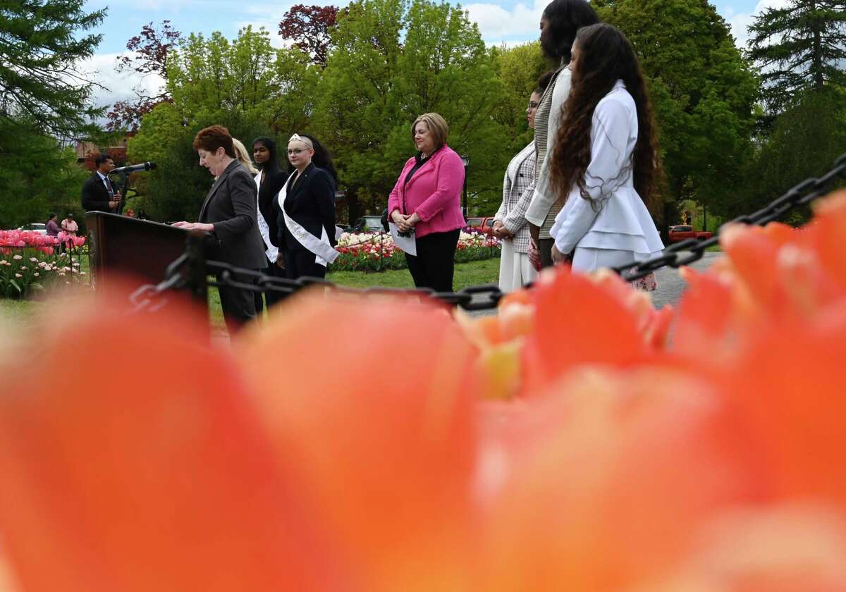 75th Albany Tulip Festival everything you need to know