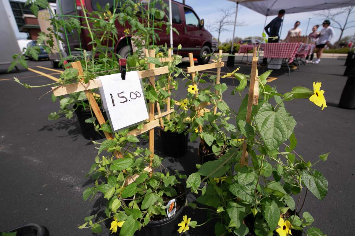 Midland Area Farmers Market opens for season outside Dow Diamond
