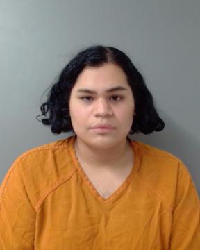 UISD PD: Teen broke AHS staffer's side mirrors, said he honked at him