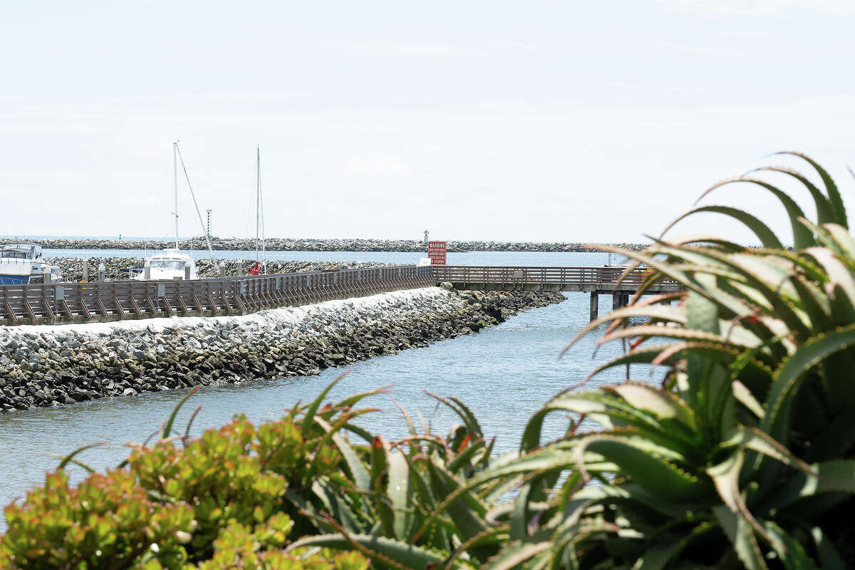 View from Barbaraʻs Fishtrap in Half Moon Bay Calif., May 4, 2023