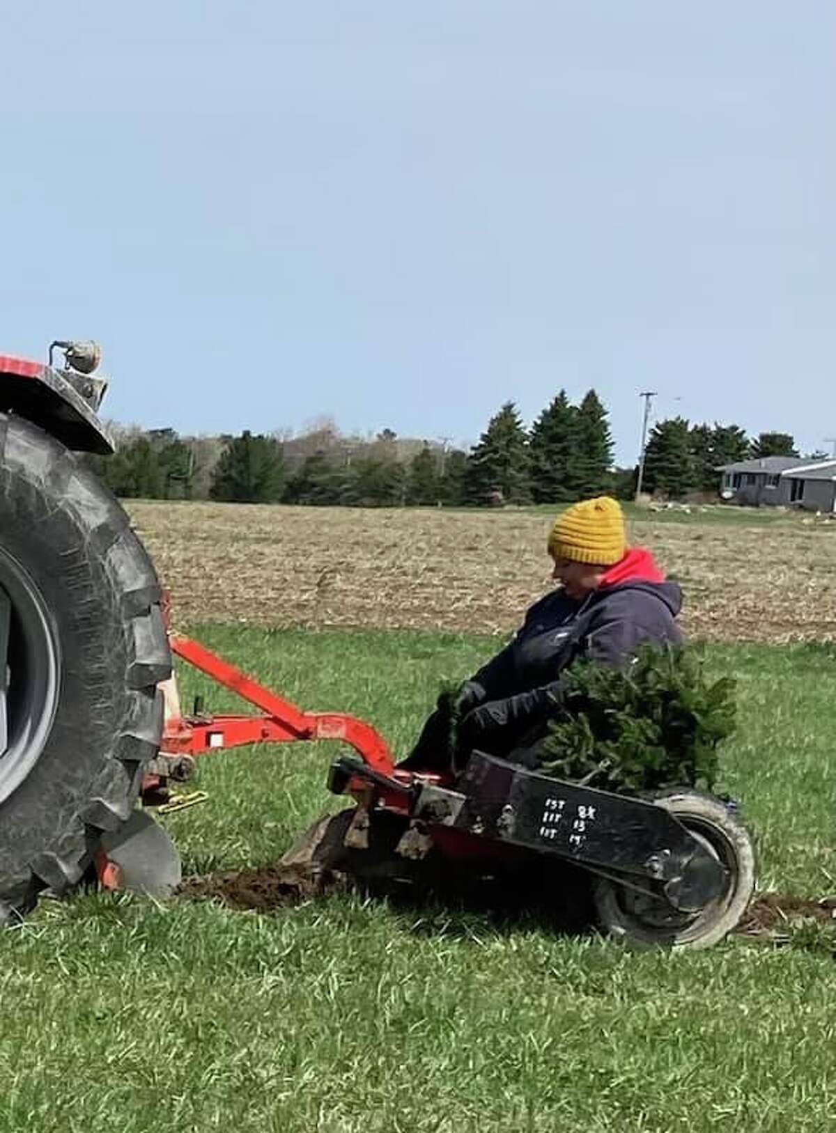 7 Questions with... Lisa Szymanski of Creekside Christmas Trees