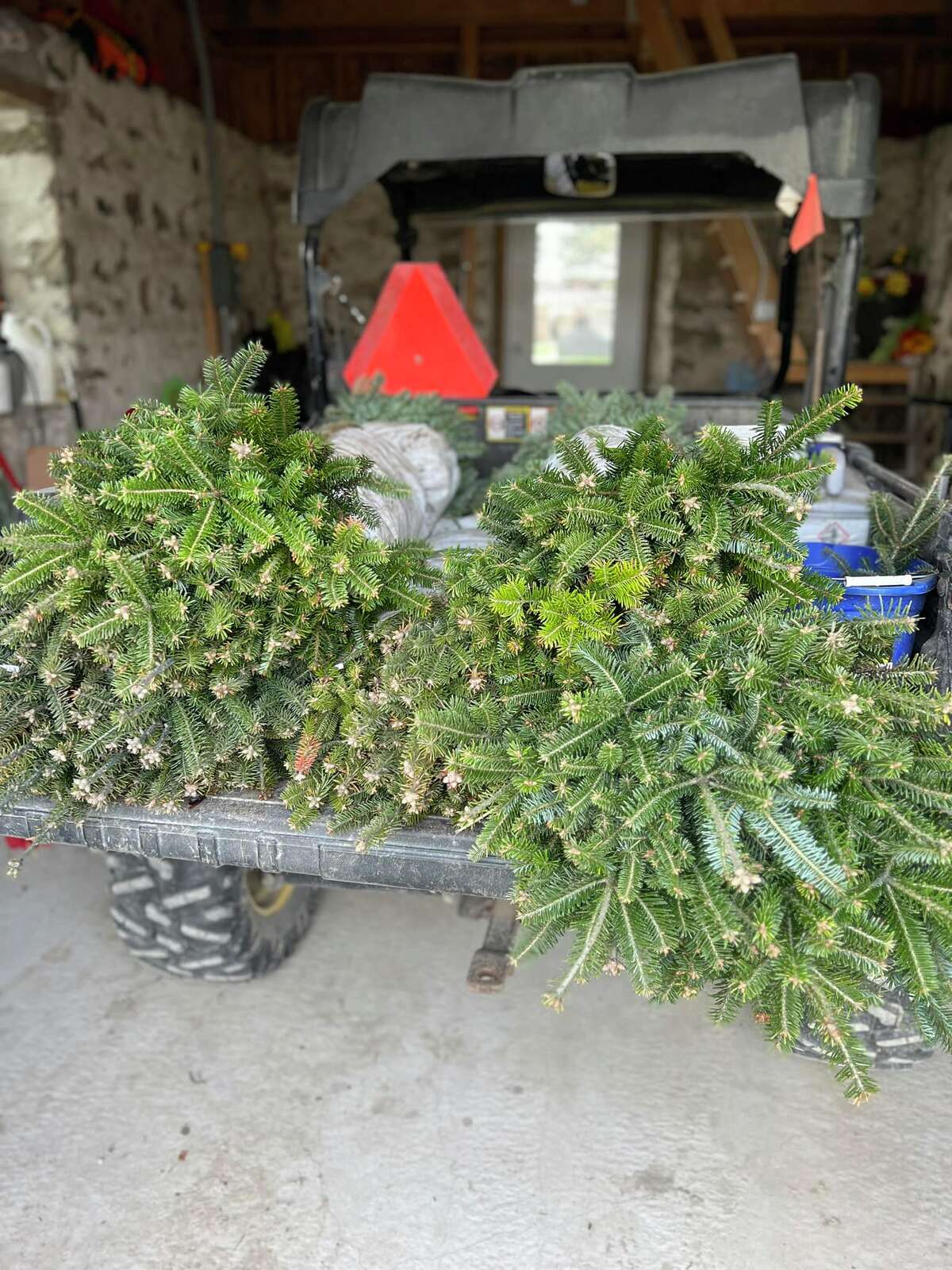 7 Questions with... Lisa Szymanski of Creekside Christmas Trees