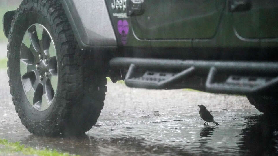 Story photo for Flood alert raised as heavy rainfall continues across Houston: Live weather updates