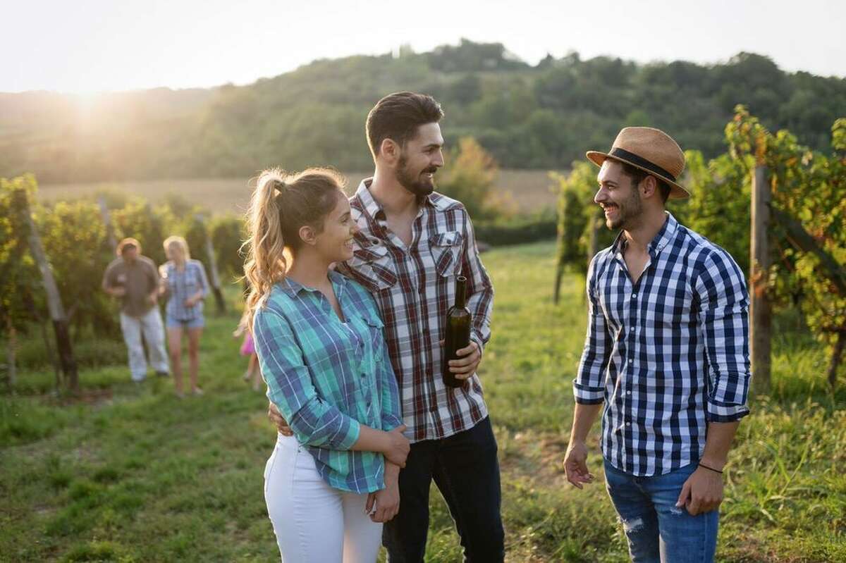 Take a Sonoma wine tour in high style with the Bohemian Highway Travel Co., where you'll arrive at your scheduled tastings in a luxury Land Rover Defender. 