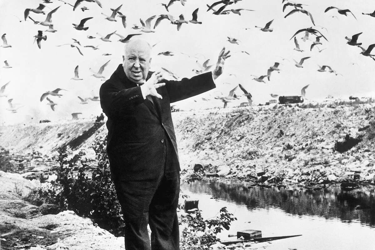 Filmmaker Alfred Hitchcock surrounded by birds on a beach in Denmark on Oct. 2, 1966.