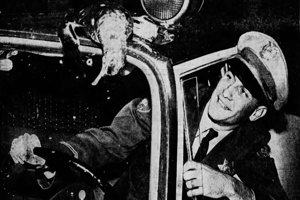 From a newspaper clipping in the Santa Cruz Sentinel on Aug. 18, 1961: “Sheriff’s Deputy Ed Cunningham inspects the damage to his prowl car roof early this morning when a sooty shearwater seabird seeking light, crashed into the car spotlight. Thousands were stranded in the Capitola-Pleasure Point area.”