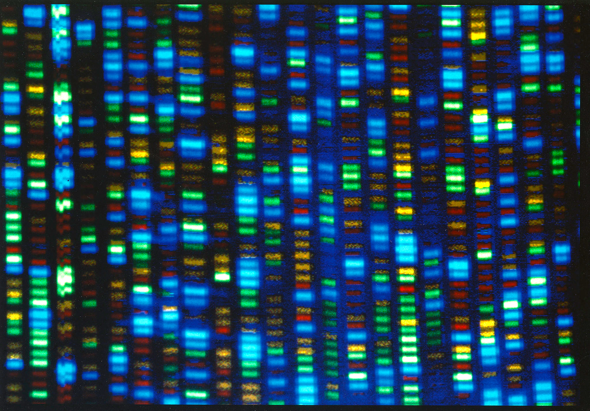 'Reference guide' for DNA being expanded - Vimarsana News