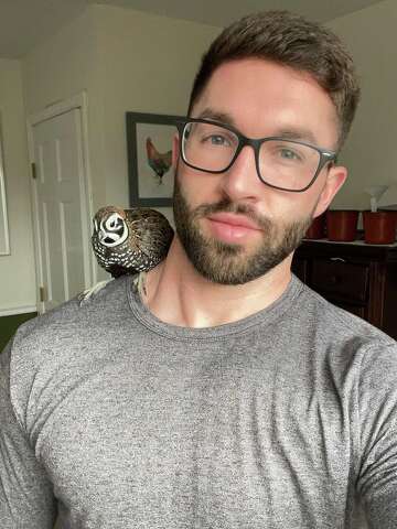 New Milford, CT farmer's hat-wearing pet quails are TikTok stars