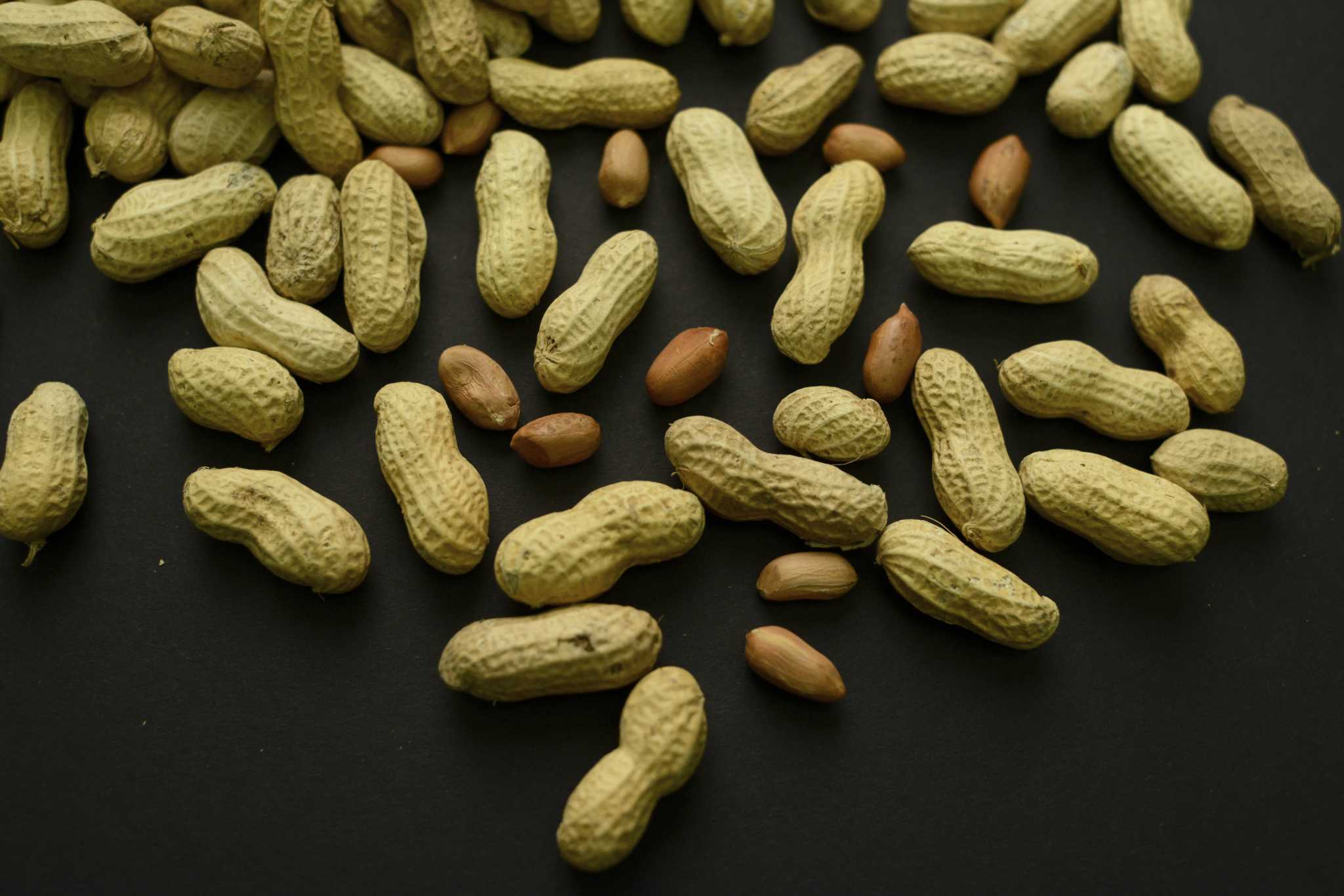 A skin patch to treat peanut allergies? Study in toddlers shows promise - Vimarsana News